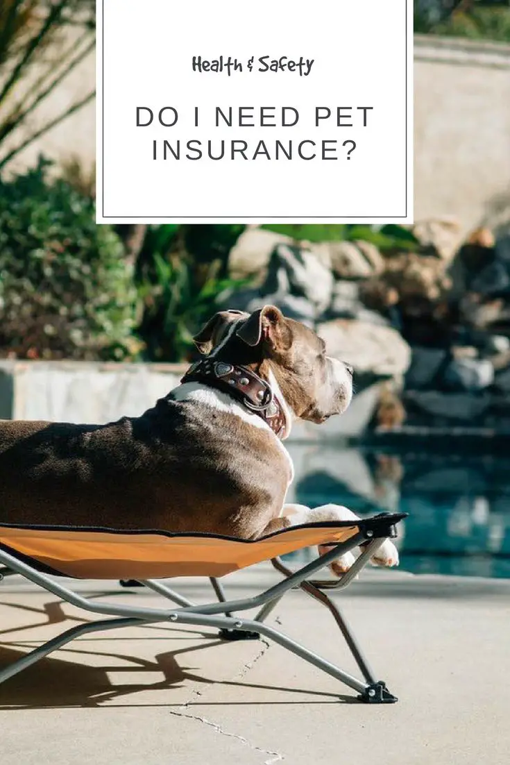 Do I Need Pet Insurance?