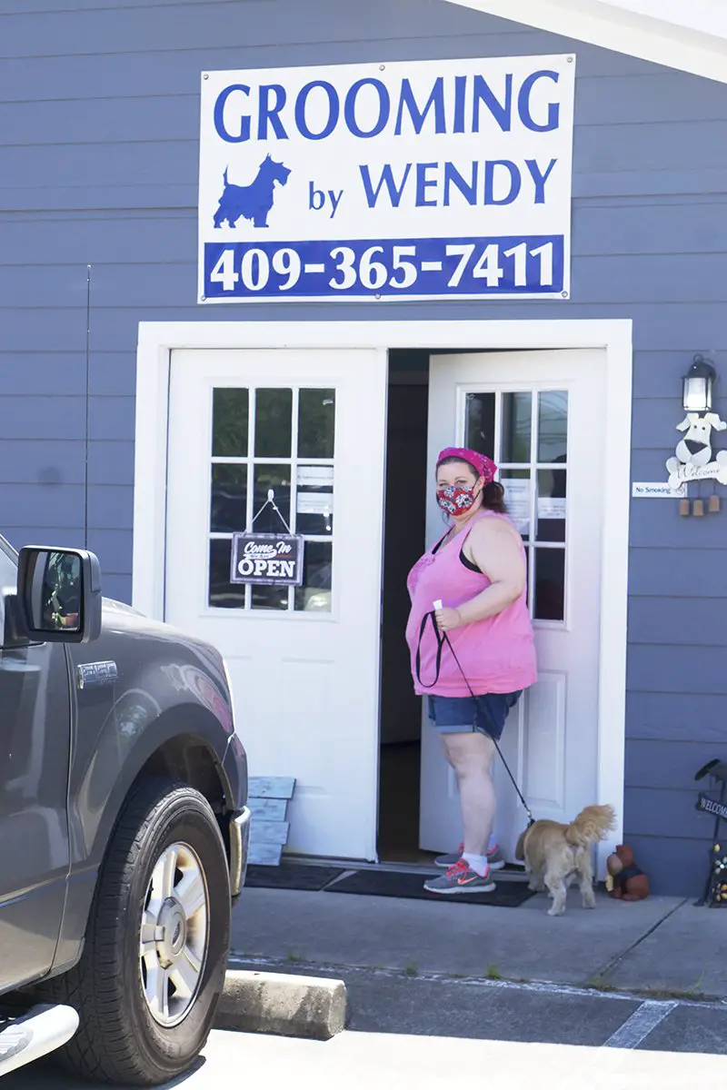 Dog groomers, clients happy to be back in business amid emergency order ...