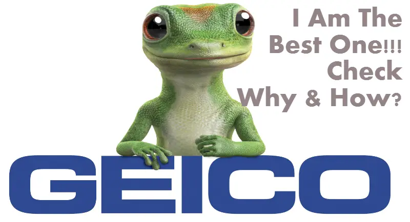 Geico Pet Insurance Reviews