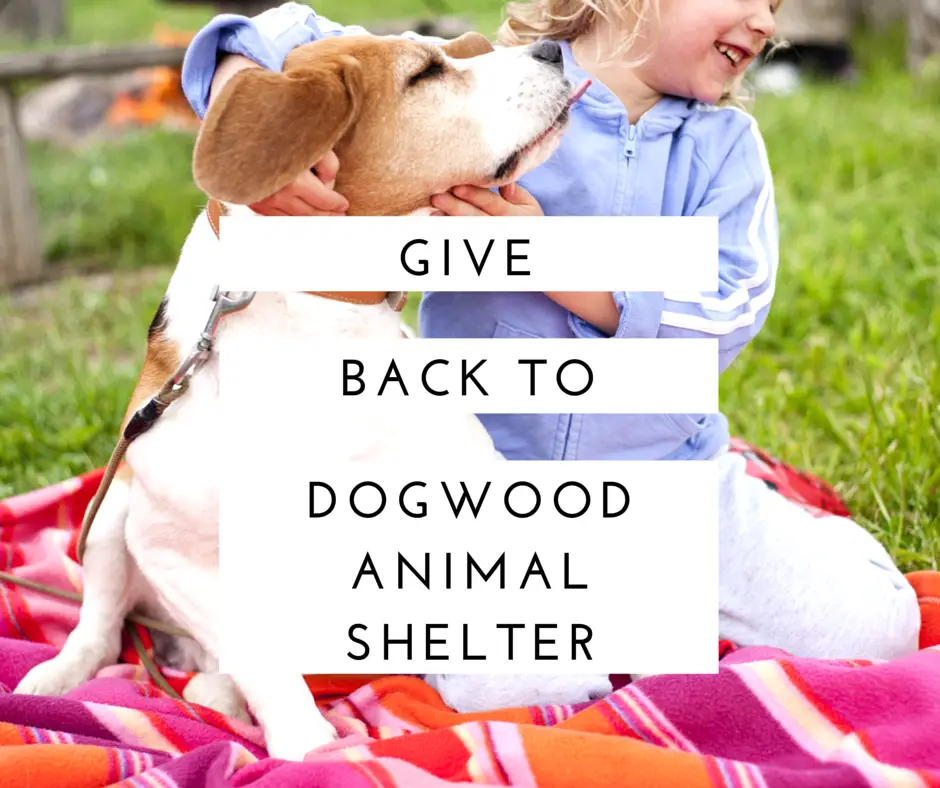 Heres Your Chance to Give Back to the Dogwood Animal ...