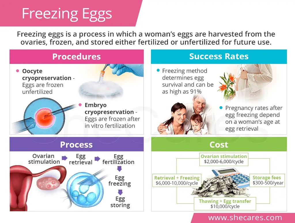 Is Freezing Eggs Covered By Insurance / How Much Does Egg Freezing ...
