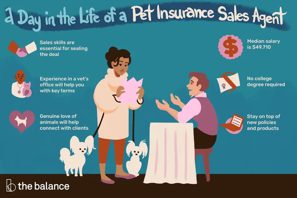 Pet Insurance Agent Job Description: Salary, Skills &  More