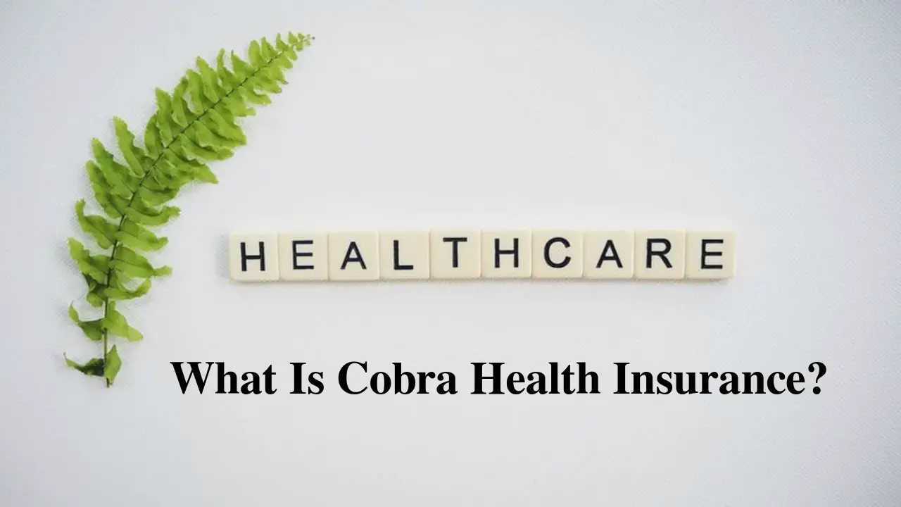 What Is Cobra Health Insurance?