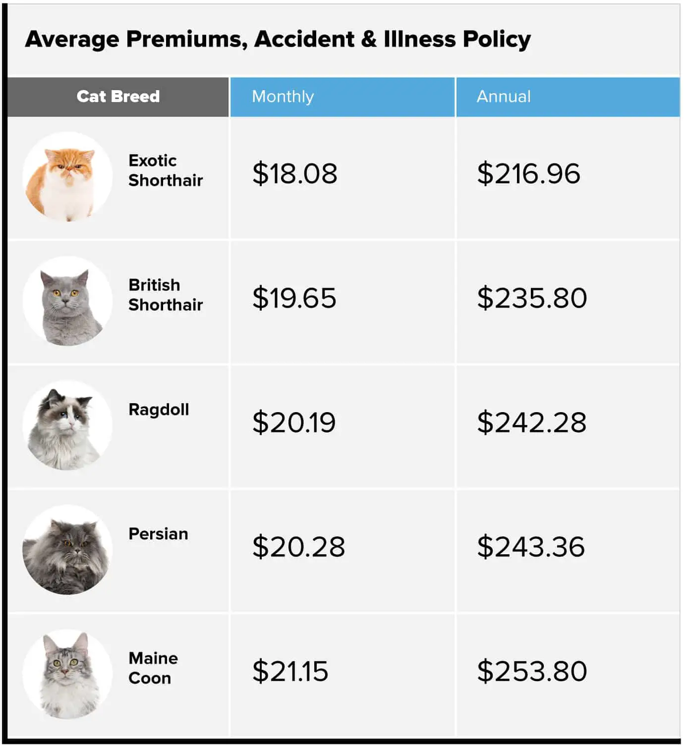 What Pet Insurance Costs