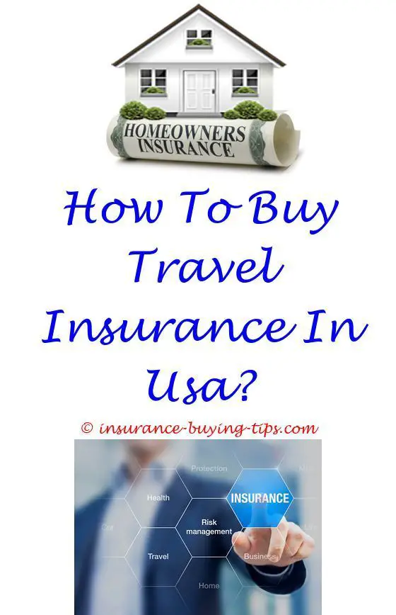 Where can I buy large health insurance?